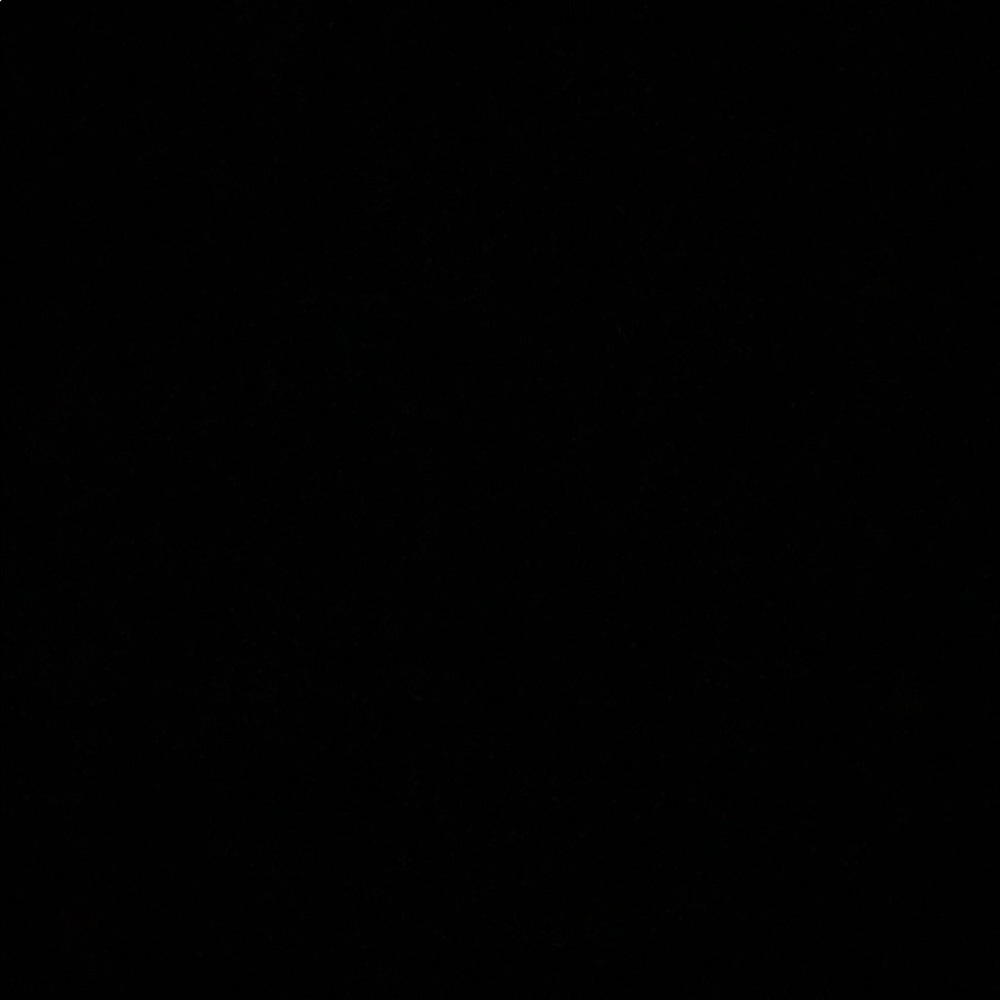 Meet your Posher, Hayley